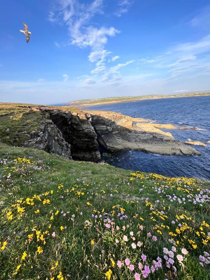 Peedie Cott Self-Catering, Orkney Saint Margarets Hope Esterno foto