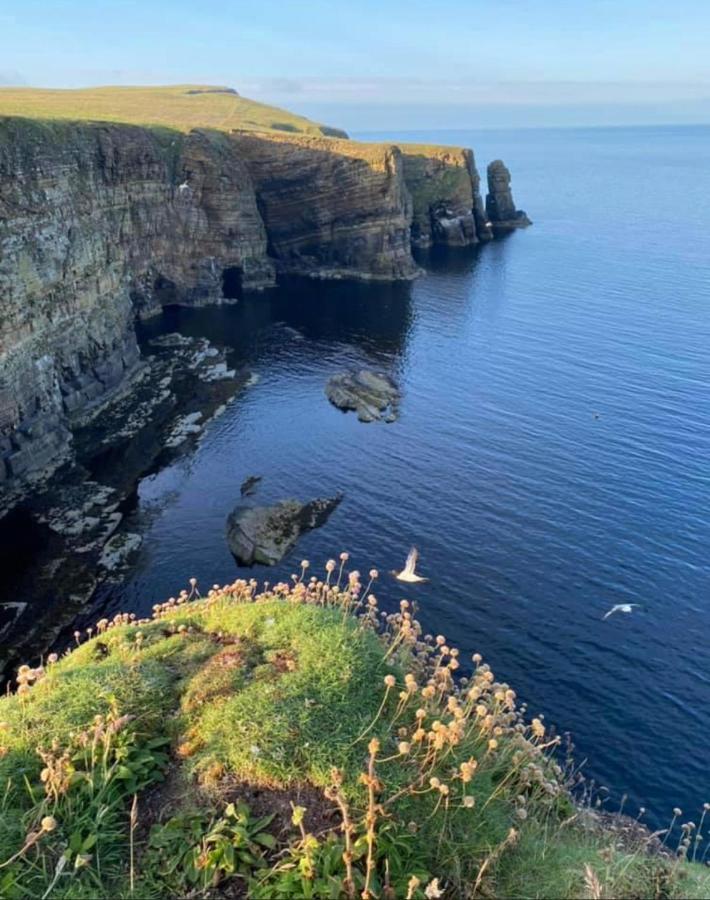 Peedie Cott Self-Catering, Orkney Saint Margarets Hope Esterno foto