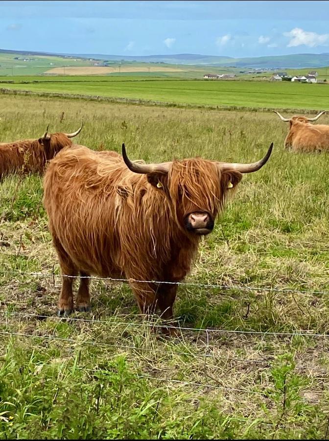 Peedie Cott Self-Catering, Orkney Saint Margarets Hope Esterno foto